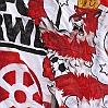 6.9.2014  FC Rot-Weiss Erfurt - Holstein Kiel  3-2_15
